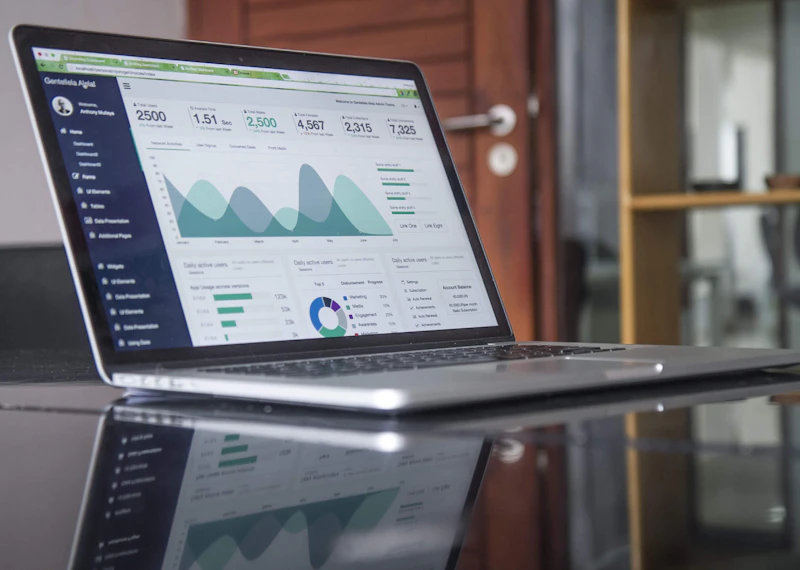 Visual Analytics
